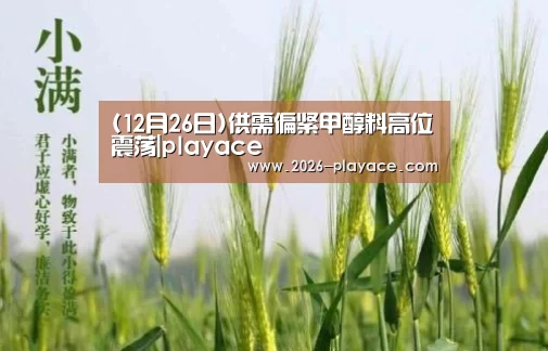 (12月26日)供需偏紧甲醇料高位震荡|playace(图1) PA真人